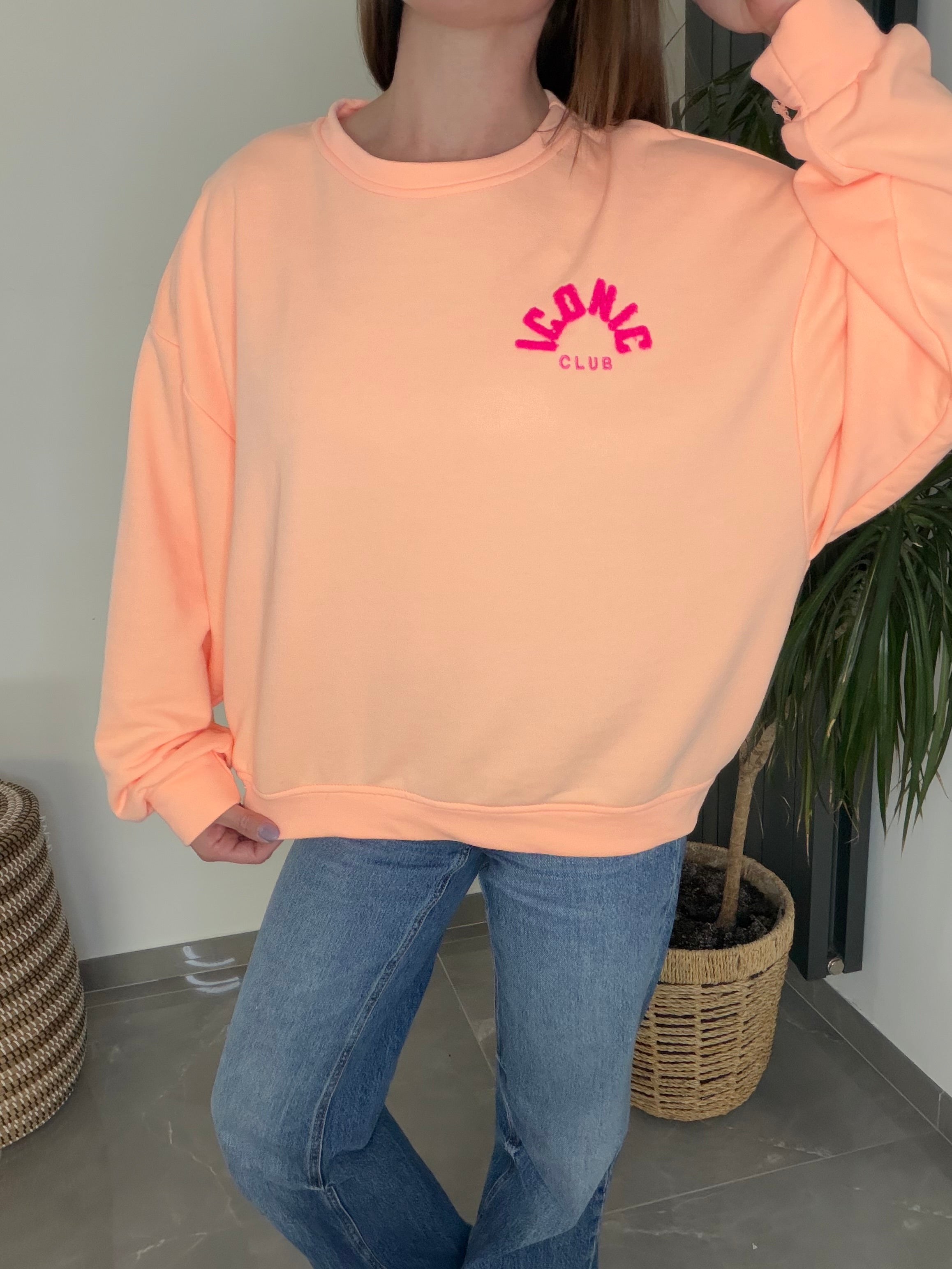 Sweat iconic  pêche