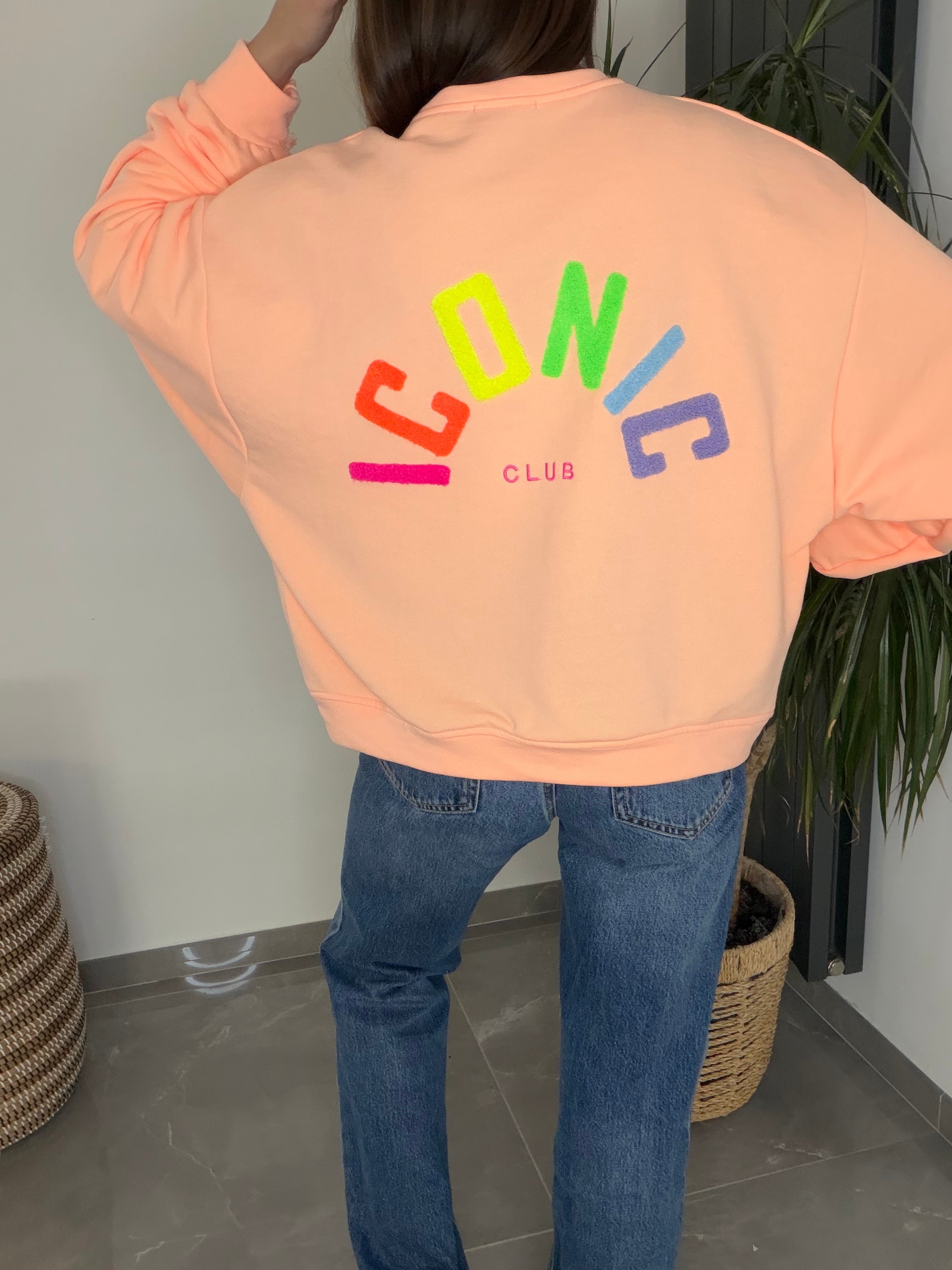 Sweat iconic  pêche